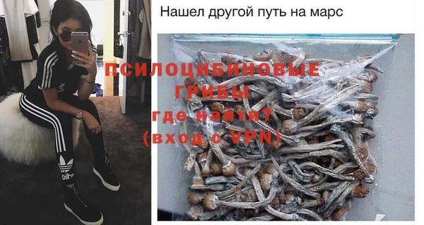дурь Богородицк