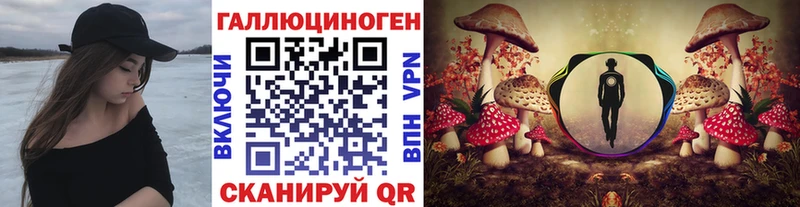 Галлюциногенные грибы мухоморы  Афипский 