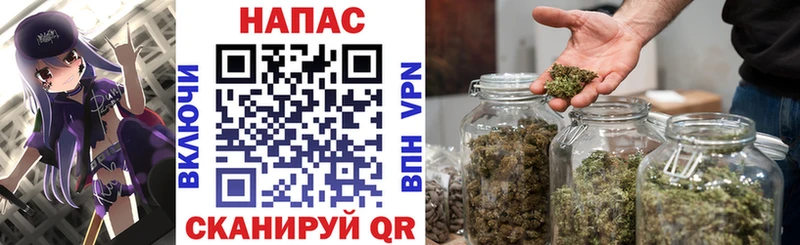 Бошки Шишки конопля  Афипский 